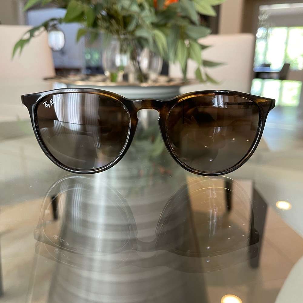Ray Ban Erika Sunglasses
